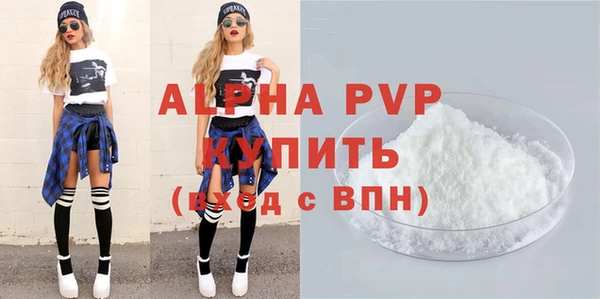 СК Алексин