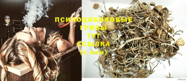 Альфа ПВП Армянск