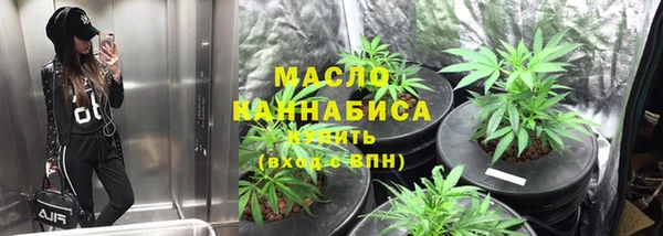 СК Алексин