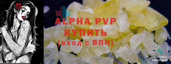 СК Алексин